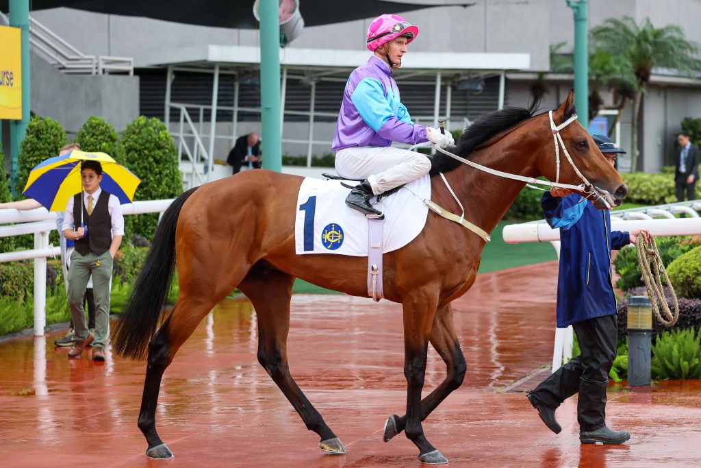 Stunning Peach will make his third Hong Kong start.