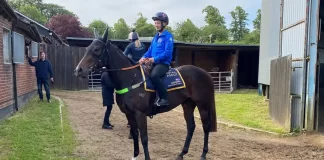 Australian sprinter Asfoora is aiming for British Group One glory at Royal Ascot (Adam Morgan/PA)