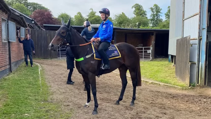 Australian sprinter Asfoora is aiming for British Group One glory at Royal Ascot (Adam Morgan/PA)