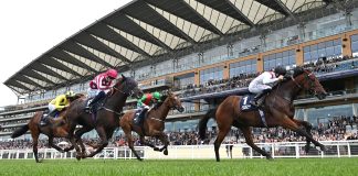 Royal Ascot racing action. Photo: HKJC