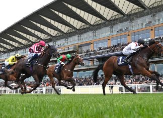 Royal Ascot racing action. Photo: HKJC