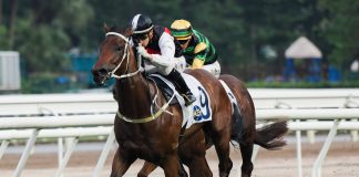 Young Superstar puts his rivals away on his Hong Kong debut.