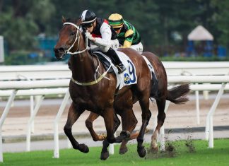 Young Superstar puts his rivals away on his Hong Kong debut.