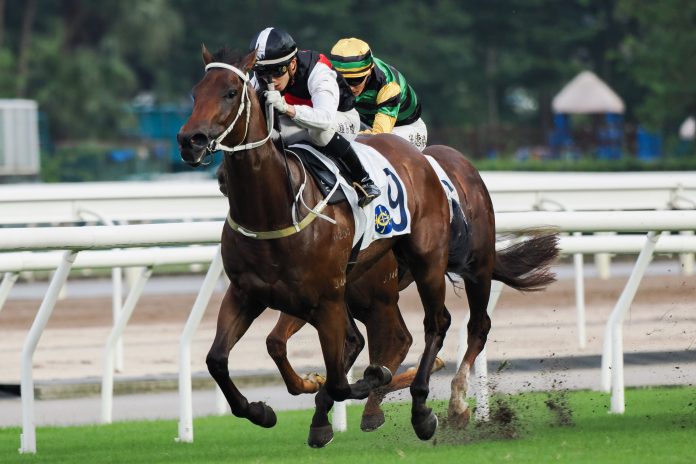 Young Superstar puts his rivals away on his Hong Kong debut.