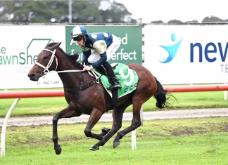 Scarlet Oak heads the betting in the G1 Queensland Oaks on Saturday.