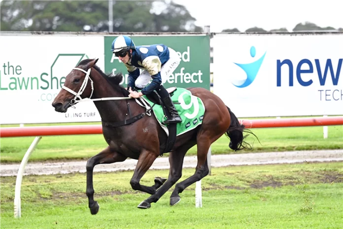 Scarlet Oak heads the betting in the G1 Queensland Oaks on Saturday.