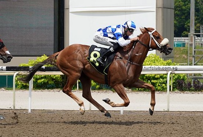 Maxima (Bernardo Pinheiro) seen here at his debut win on 20 August 2023.