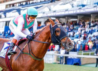 See It Again seeks redemption in the G1 Gold Challenge (1600m) at Greyville on Saturday.