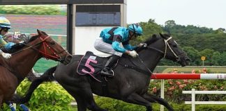 Run Buddy Run gives jockey Darren Danis his first win at Kranji in Race 5.