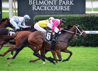 Luvnwar is the one to beat in the Belmont Guineas.