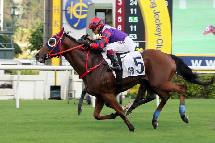 Happy Together is a six-time winner in Hong Kong.