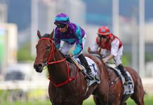 Dream Winner is a three-time winner in Hong Kong.