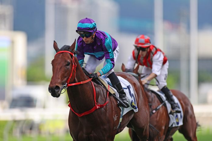 Dream Winner is a three-time winner in Hong Kong.