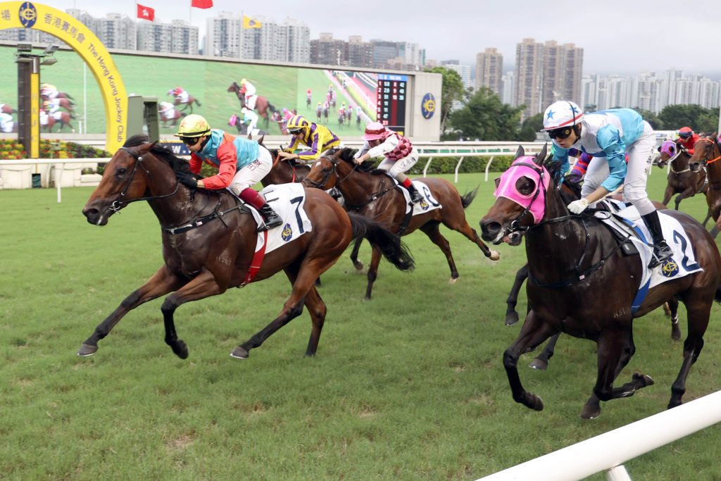 Ka Ying Victory is bidding for a 1000m hat-trick.