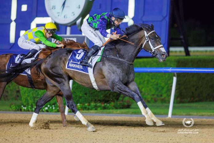 THEGREATCOLLECTION (horse) at Meydan Racecourse, Dubai (Credit: Dubai Racing Club)